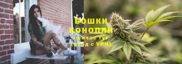 крисы Наволоки