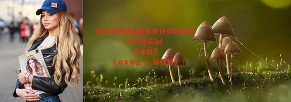 ГАЛЛЮЦИНОГЕННЫЕ ГРИБЫ Богданович