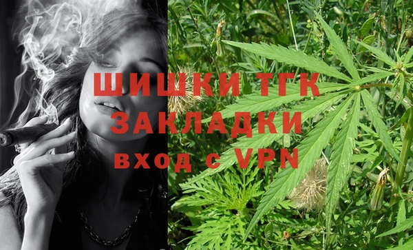 ГАЛЛЮЦИНОГЕННЫЕ ГРИБЫ Богданович