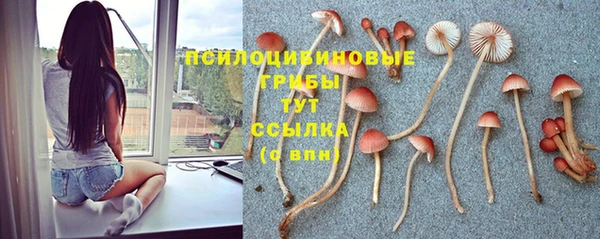 синтетический гашиш Богородицк