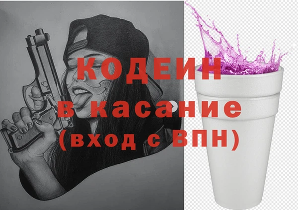 ГАЛЛЮЦИНОГЕННЫЕ ГРИБЫ Богданович
