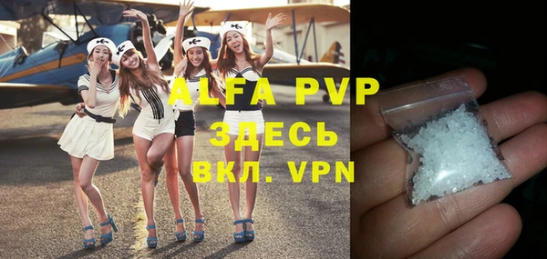 ГАЛЛЮЦИНОГЕННЫЕ ГРИБЫ Богданович