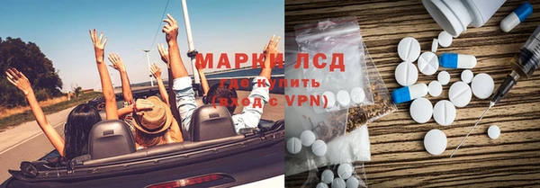 ГАЛЛЮЦИНОГЕННЫЕ ГРИБЫ Богданович