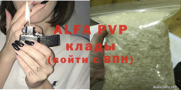 ГАЛЛЮЦИНОГЕННЫЕ ГРИБЫ Богданович