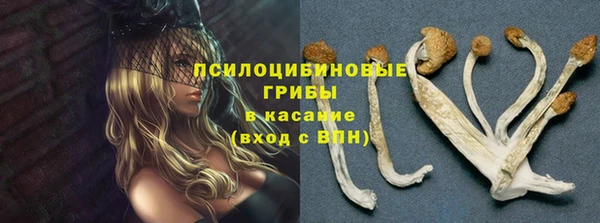 синтетический гашиш Богородицк