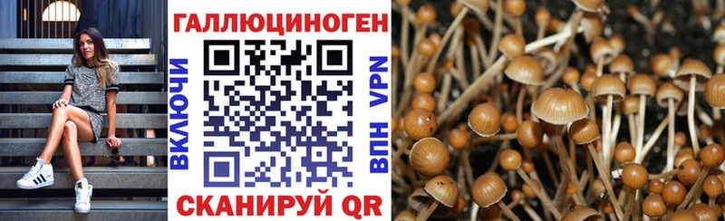 Галлюциногенные грибы Psilocybine cubensis  Михайлов 