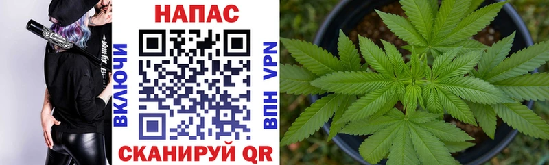 Канабис THC 21%  даркнет сайт  Михайлов 